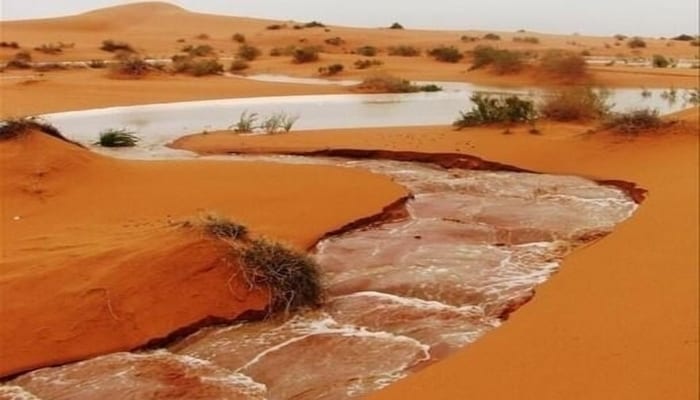 الأرصاد الجوية تتوقع بداية أسبوع ممطرة في عدة ولايات