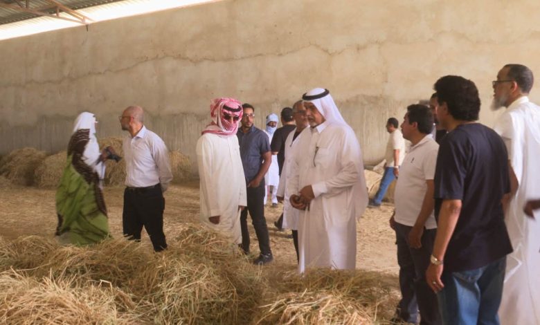 موريتانيا : بعثة سعودية تستكشف فرص الاستثمار في مجال الثروة الحيوانية