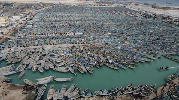 آلاف البحارة يستأنفون رحلات الصيد التقليدي من ميناء خليج الراحة