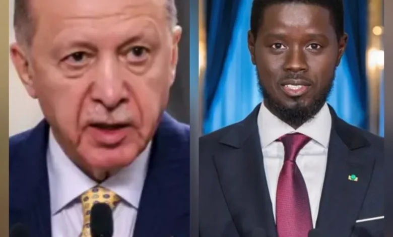 أردوغان يهاتف رئيس السنغال