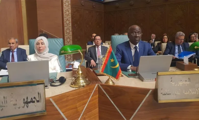 وزير الخارجية الدول العربية تمر بفترة حرجة