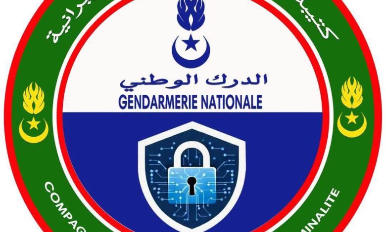 روصو.. تفكيك شبكة من 5 أشخاص متخصصة في الاحتيال الرقمي وسرقة أموال المستخدمين