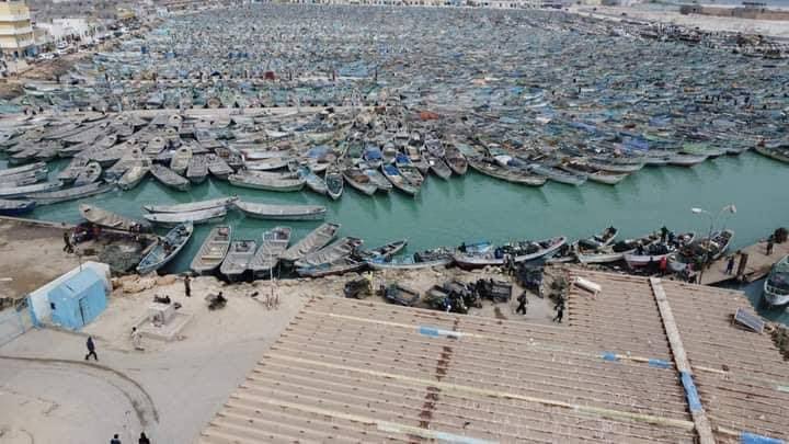 بدء سريان التوقيف البيولوجي لصيد الأخطبوط في المياه الموريتانية
