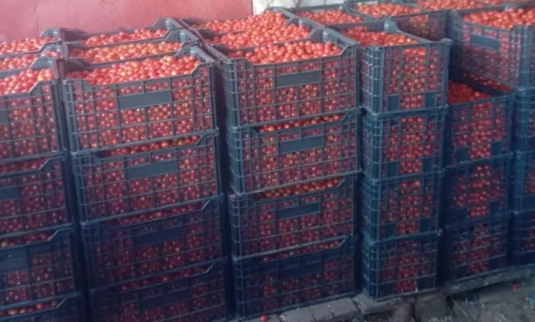 اتفاق يقضي ببيع ـ4.7 طن من الطماطم ب 1200 أوقية للكيلوغرام